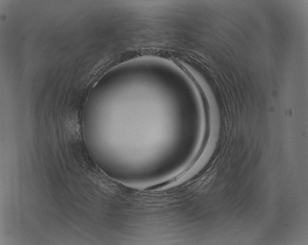 X0000076441252200610061248
