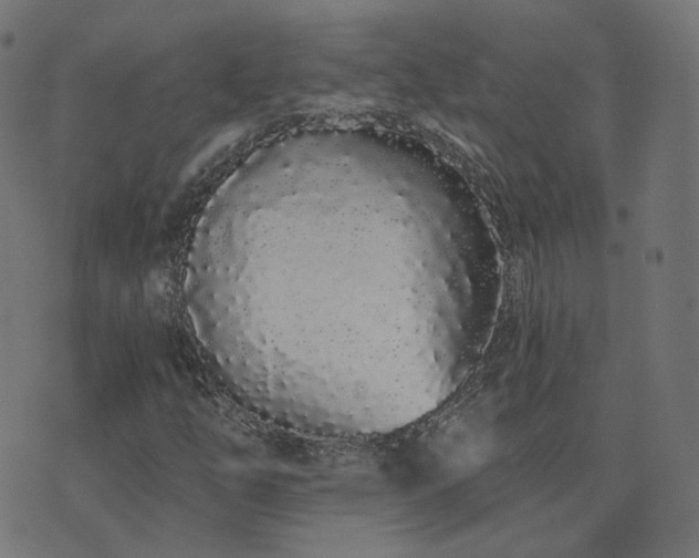 X0000076441254200610061248