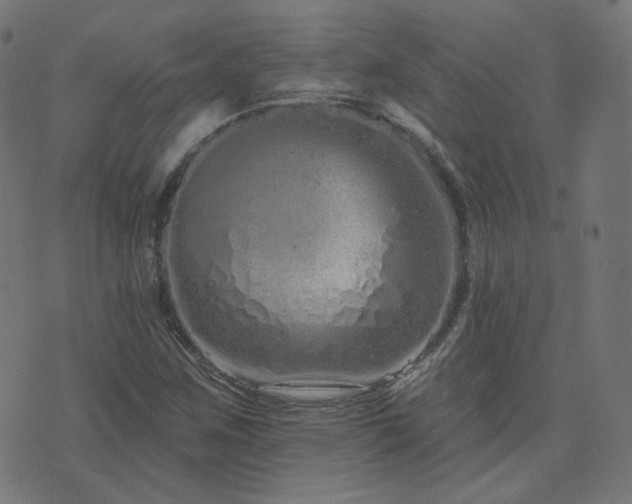 X0000076441259200610061248