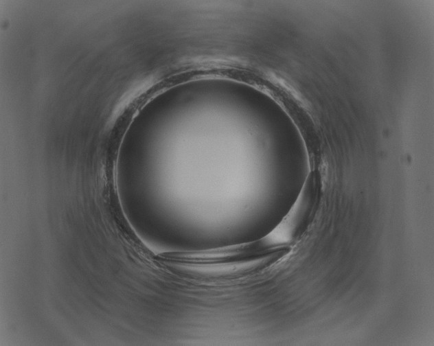 X0000076441261200610061248
