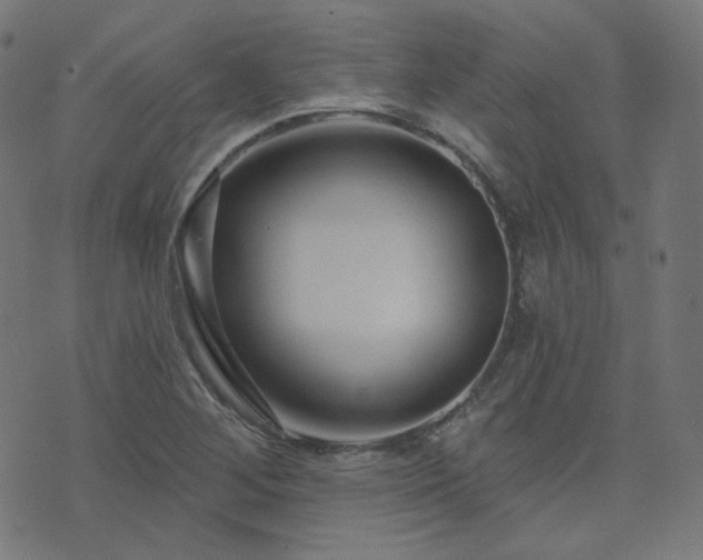 X0000076441268200610061248
