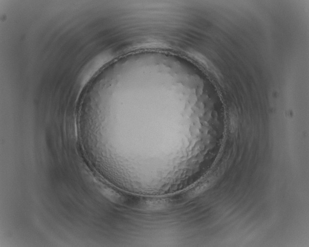 X0000076441274200610061248