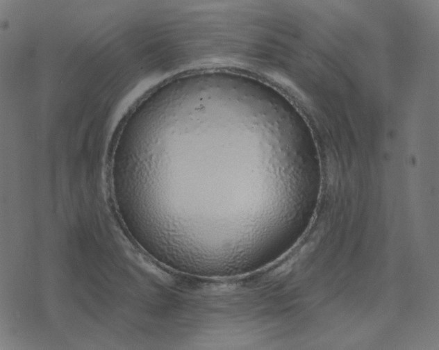 X0000076441278200610061248