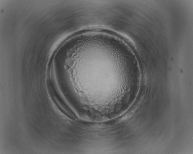 X0000076441279200610061248