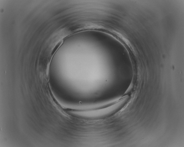 X0000076441281200610061248