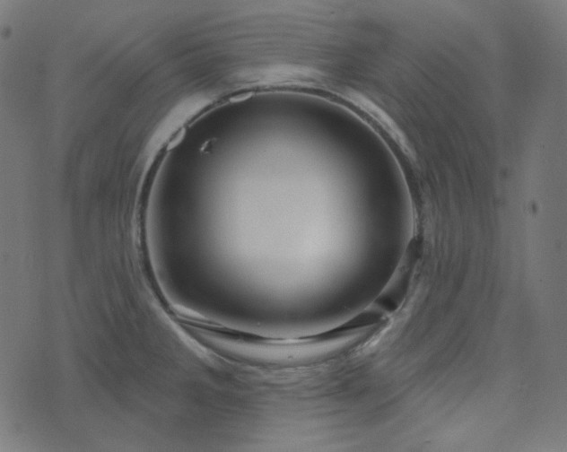 X0000076441285200610061248