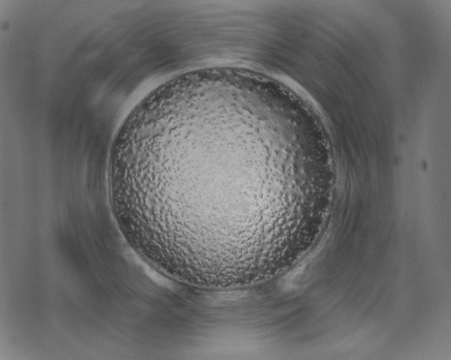 X0000076441294200610061248