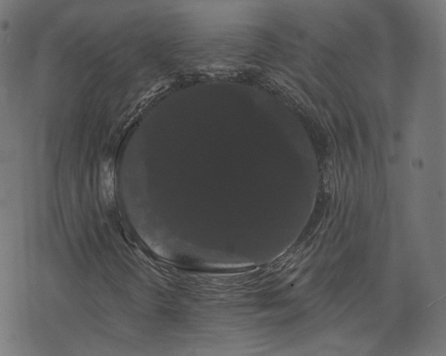 X0000076441298200610061247