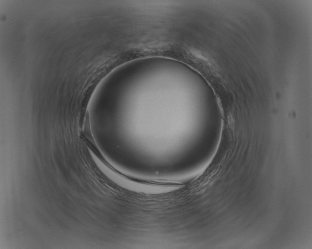 X0000076441300200610061247