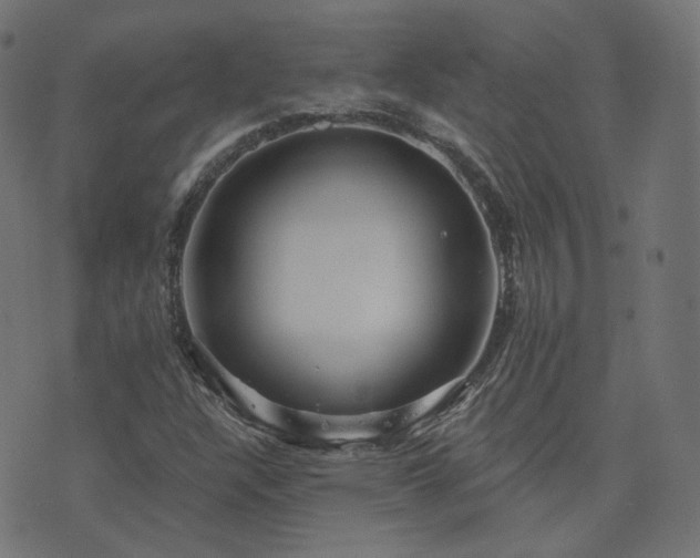 X0000076441304200610061247