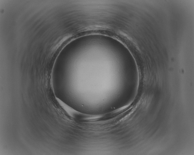X0000076441313200610061247