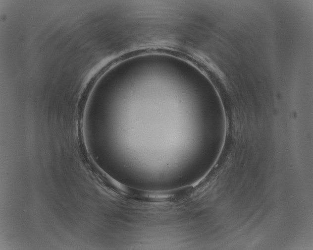 X0000076441316200610061247
