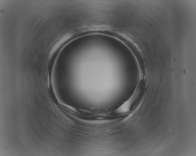 X0000076441317200610061247