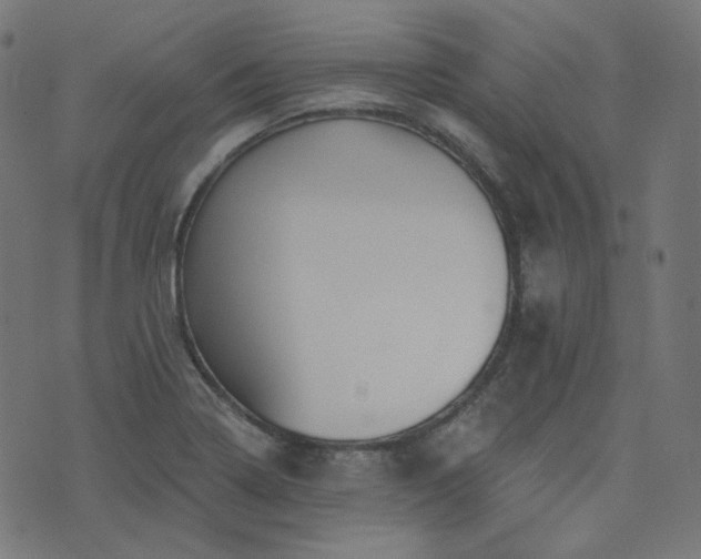 X0000076441322200610061247