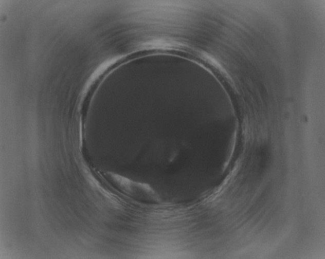 X0000076441323200610061247