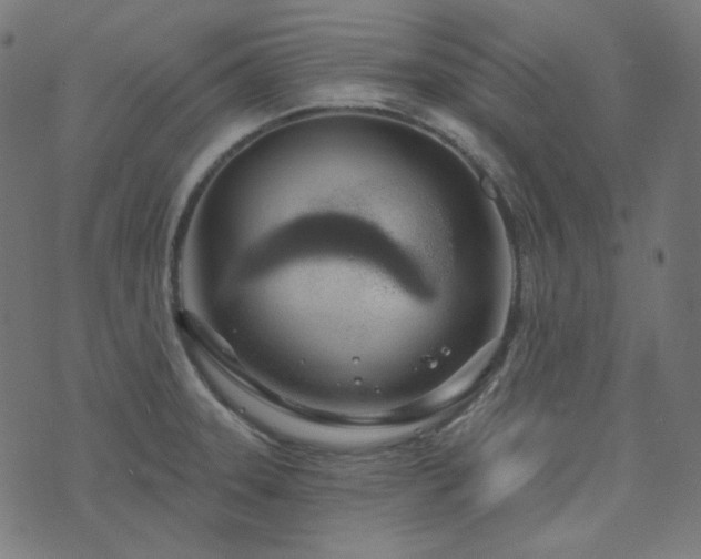 X0000076441331200610061248