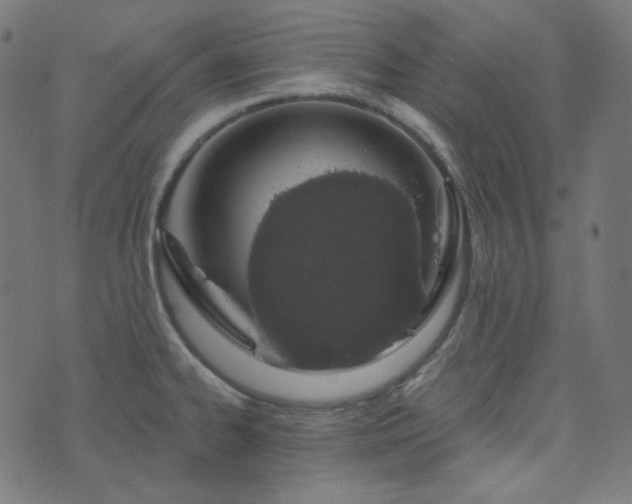 X0000076441334200610061248