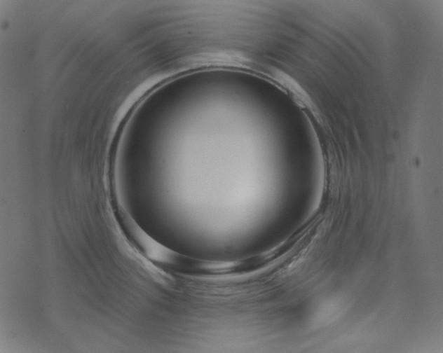 X0000076441339200610061248