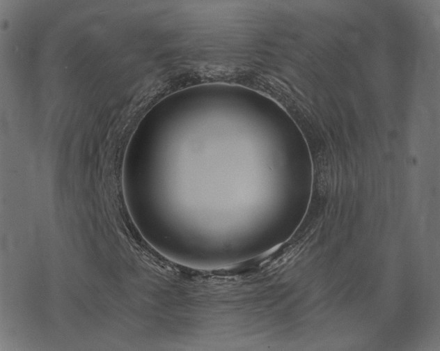 X0000076441345200610061247