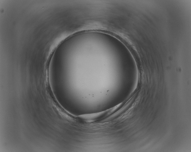 X0000076441366200610061247