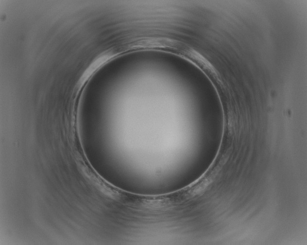 X0000076441378200610061246