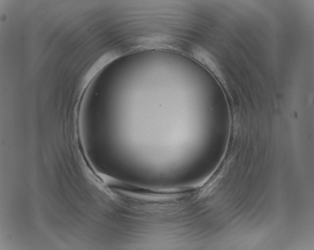 X0000076441386200610061246
