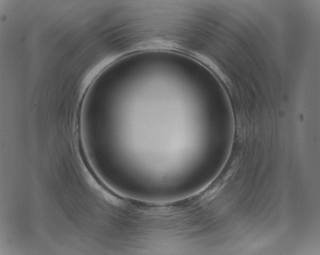 X0000076441387200610061246