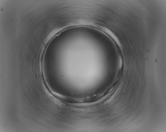 X0000076441388200610061246
