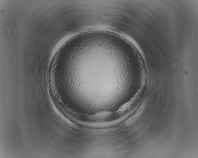 X0000076441389200610061246