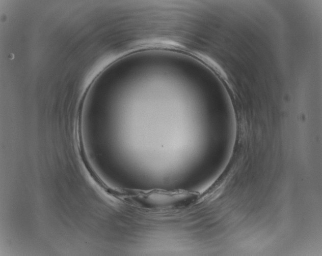 X0000076441391200610061246