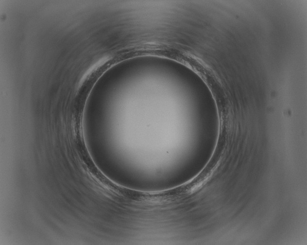 X0000076441402200610061246