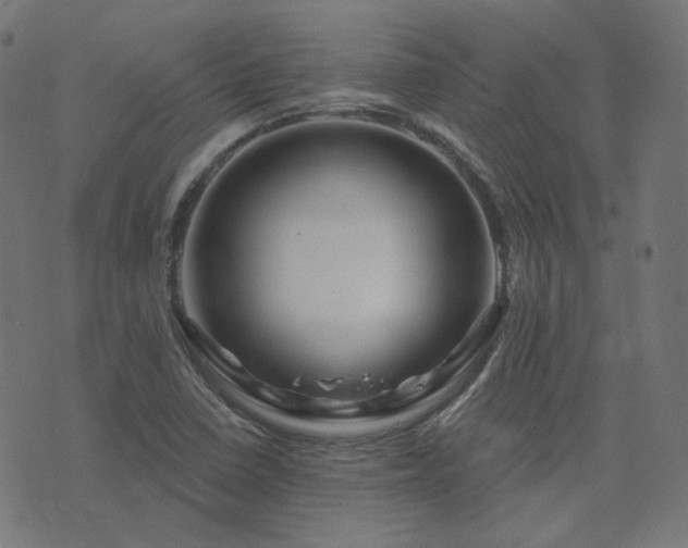 X0000076441410200610061246