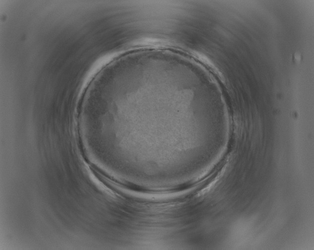 X0000076441421200610061246