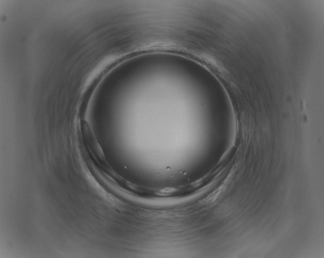 X0000076441422200610061246