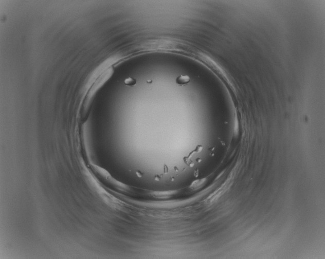 X0000076441434200610061246