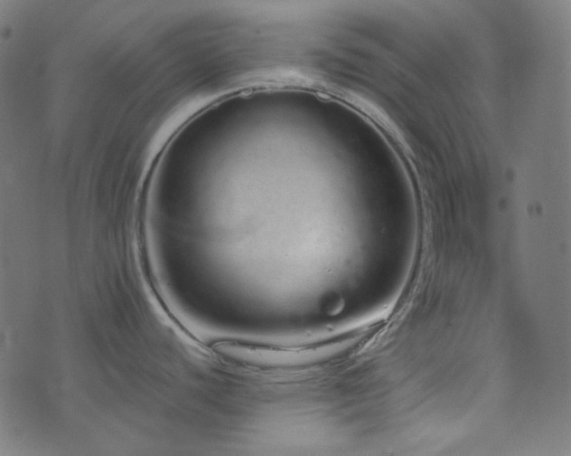 X0000076441440200610061246