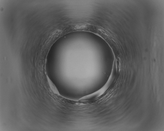 X0000076441441200610061245