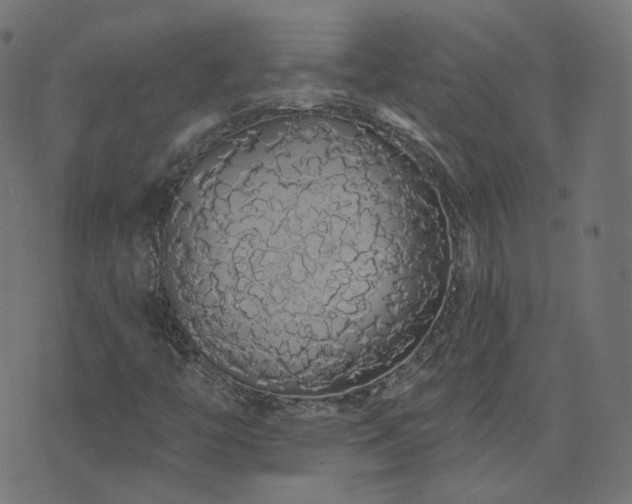 X0000076441446200610061245
