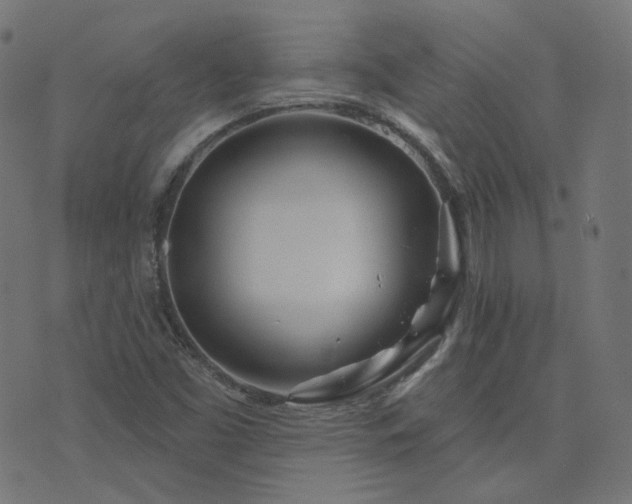 X0000076441453200610061245