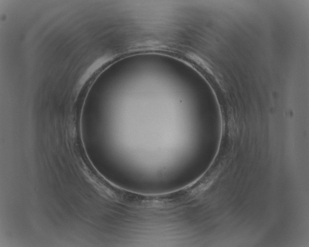 X0000076441458200610061245