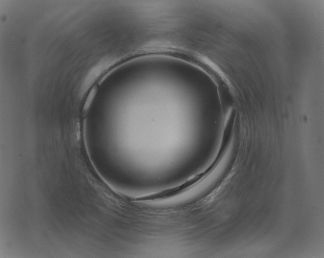 X0000076441461200610061245