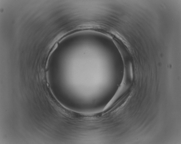 X0000076441465200610061245