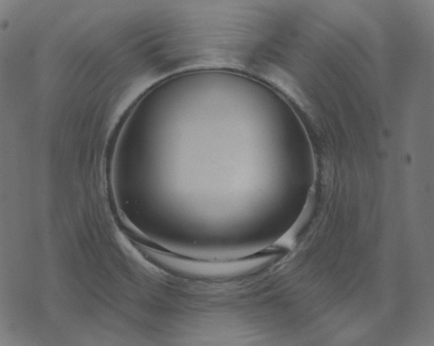 X0000076441468200610061245