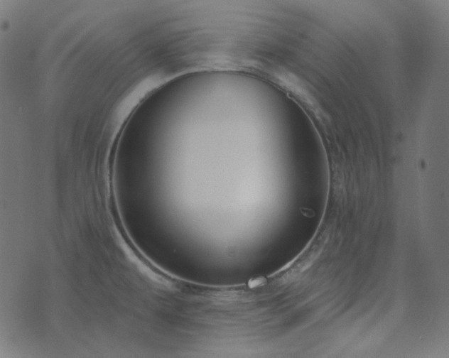 X0000076441479200610061245