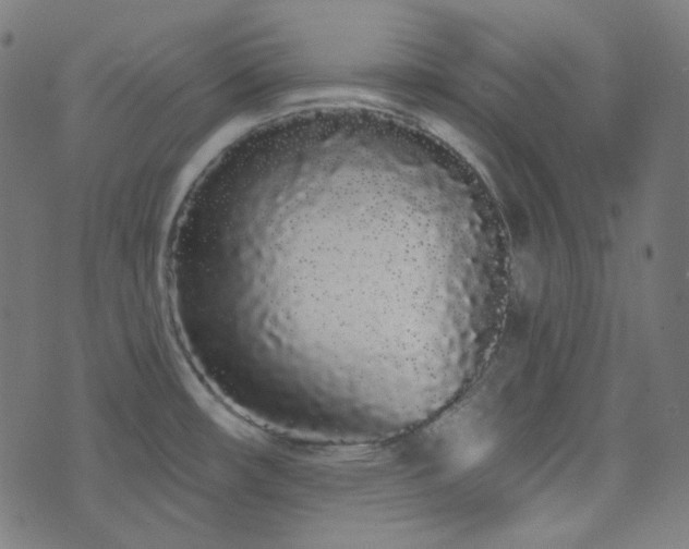 X0000076441482200610061245