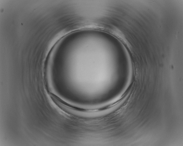 X0000076441483200610061245