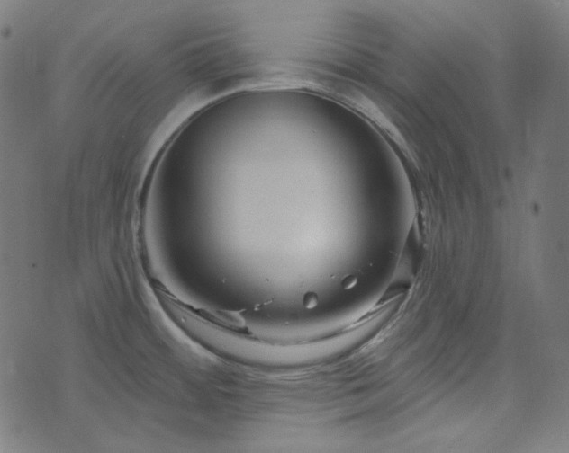 X0000076441484200610061245