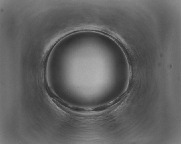 X0000076441504200610061244