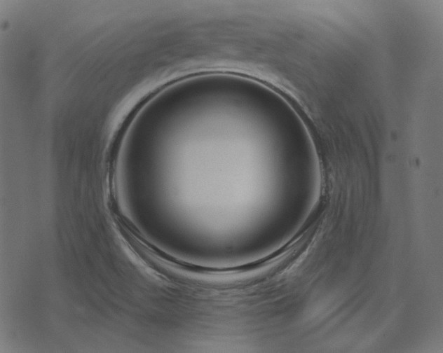 X0000076441511200610061244