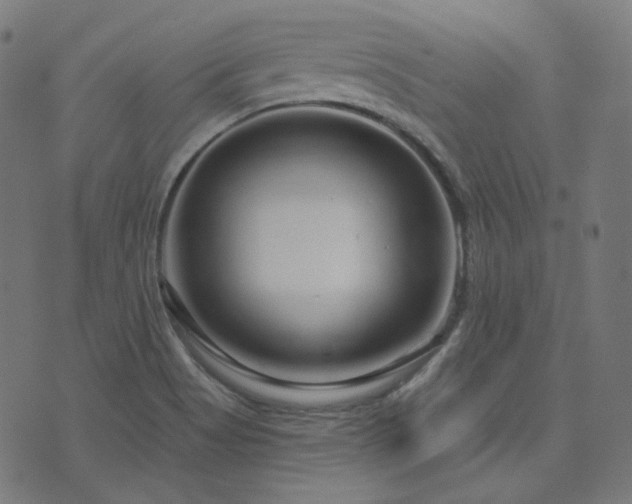 X0000076441513200610061244